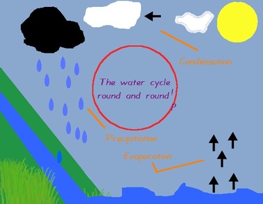the earth sea cycle